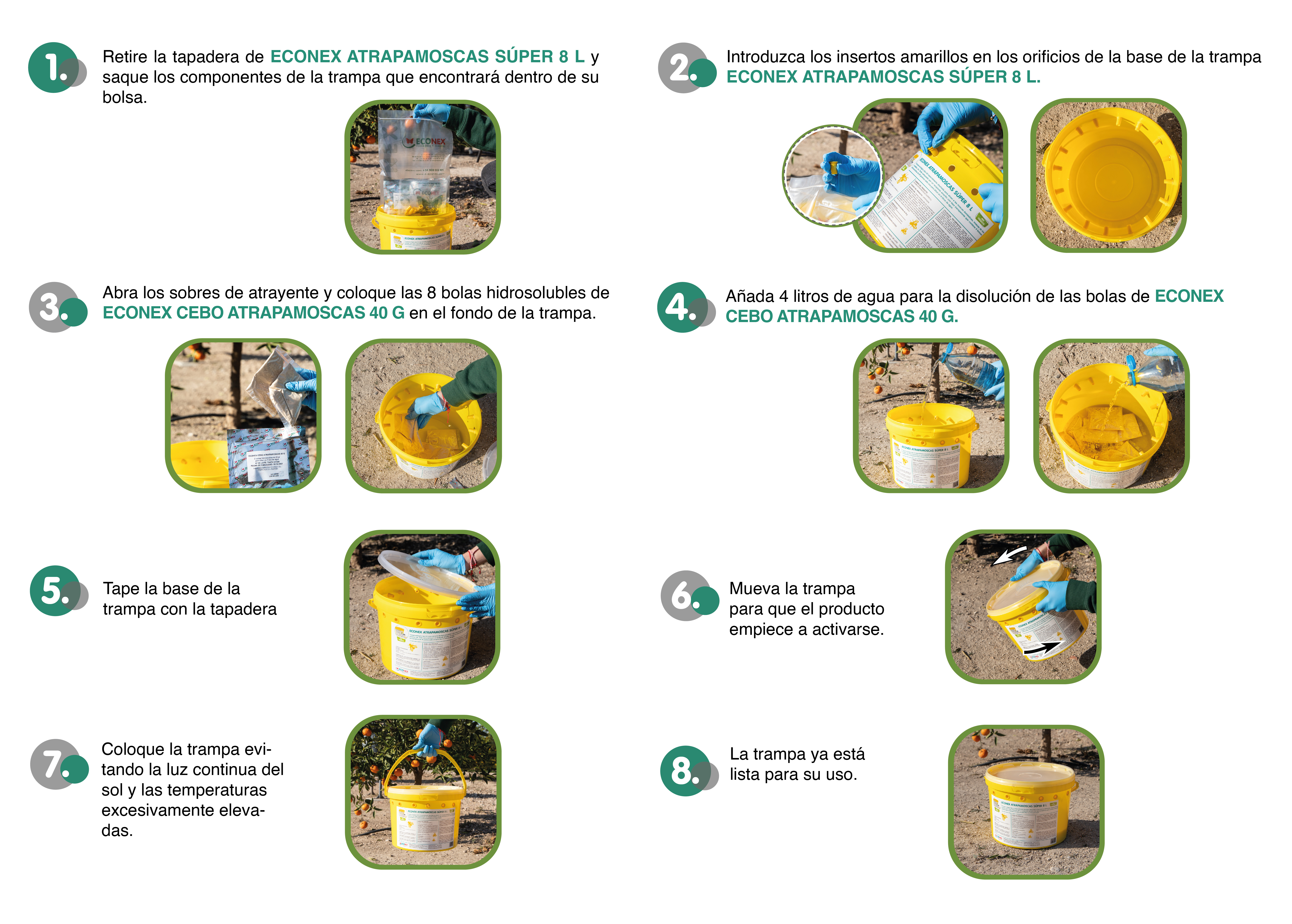 Esquema de la hoja de montaje